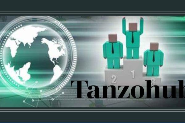 Tanzohub: Revolutionizing Digital Marketplaces in Africa