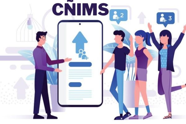 Understanding CÑIMS: A Comprehensive Guide