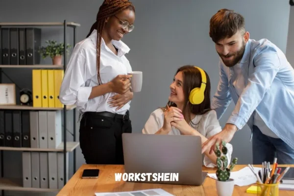 Workstshein: Everything You Need to Know