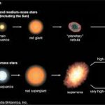 Charstar: The Evolving Landscape of Star Classification in Astronomy